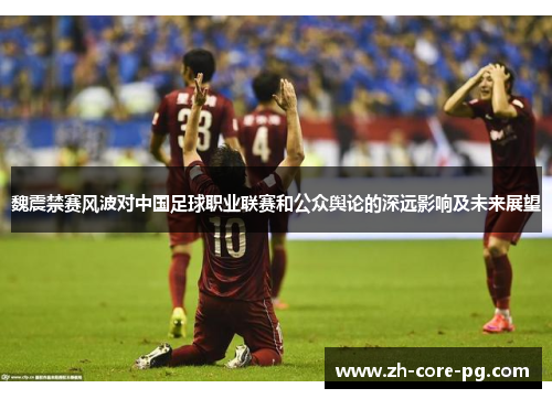 魏震禁赛风波对中国足球职业联赛和公众舆论的深远影响及未来展望