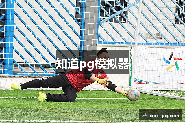 知道pg模拟器